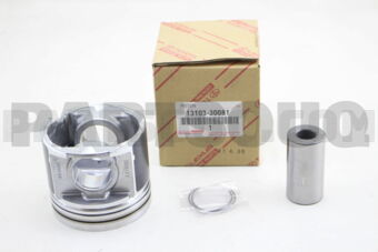 1310330081 PISTON SUB-ASSY, W/PIN