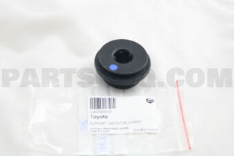 1653520010 SUPPORT, RADIATOR, LOWER