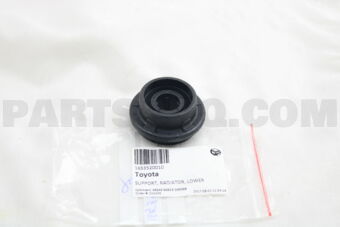 1653520010 SUPPORT, RADIATOR, LOWER