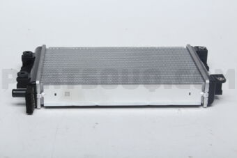 1655070020 RADIATOR ASSY