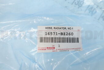 16571BZ260 HOSE  RADIATOR