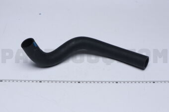 16572BZ410 HOSE  RADIATOR  NO.2