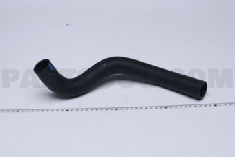 16572BZ410 HOSE  RADIATOR  NO.2