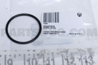 2934227010 PACKING, VACUUM