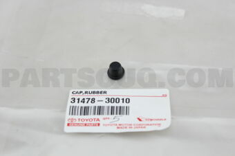 3147830010 CAP, BLEEDER PLUG
