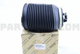 4808035011 CYLINDER ASSY, PNEUMATIC, REAR RH