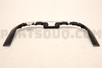 52169WY010 COVER, RR BUMPER