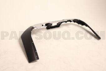 52169WY010 COVER, RR BUMPER