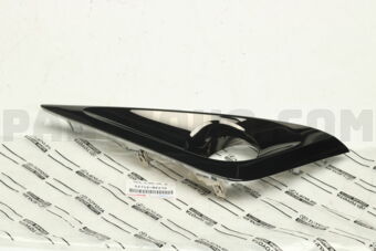 52712BZ270 MOULDING  FR BUMPER