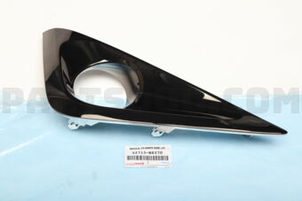 52713BZ270 MOULDING  FR BUMPER