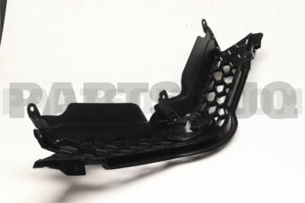 5310012491 GRILLE ASSY