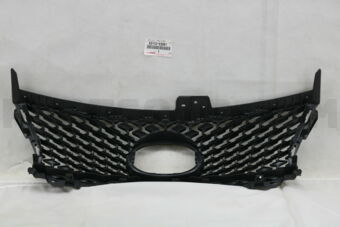 5311253061 Grille, Radiator, Inside