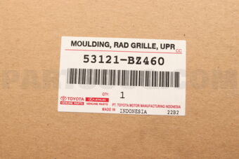 53121BZ460 MOULDING  RADIATOR G
