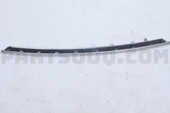 5312233050 MOULDING  RADIATOR
