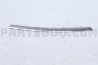 5312233050 MOULDING  RADIATOR