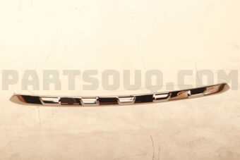 5312278010 MOULDING  RADIATOR