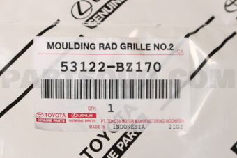 53122BZ170 MOULDING  RADIATOR G