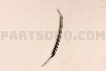 53122BZ170 MOULDING  RADIATOR G