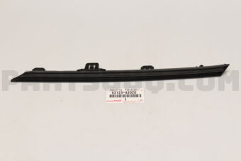5312342020 MOULDING  RADIATOR