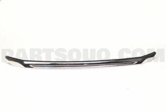 53123BZ190 MOULDING  RADIATOR G