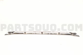 53123BZ190 MOULDING  RADIATOR G