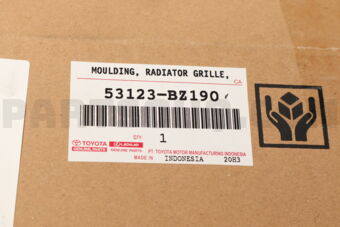 53123BZ190 MOULDING  RADIATOR G