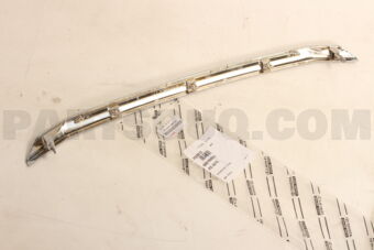 53123BZ200 MOULDING  RADIATOR G