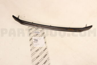 53123BZ200 MOULDING  RADIATOR G