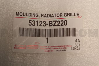 53123BZ220 MOULDING  RADIATOR G