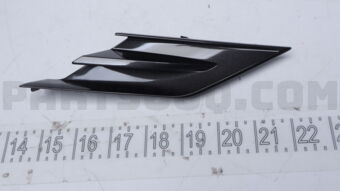 5312433120 MOULDING  RADIATOR