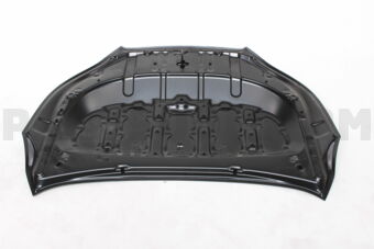 533010D150 HOOD SUB-ASSY