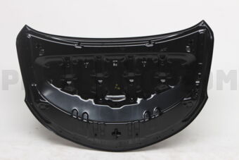 533010D190 HOOD SUB-ASSY