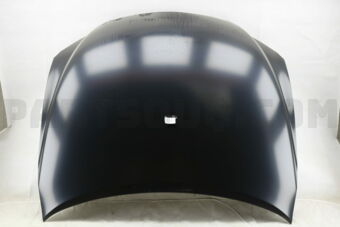 5330122420 HOOD SUB-ASSY
