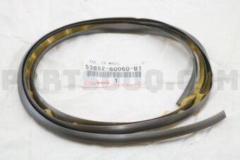 5385260060B1 PAD, FRONT WHEEL OPENING EXTENSI