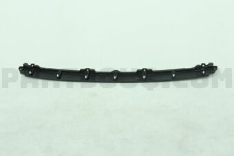 5392837011 GARNISH, FRONT PANEL, CENTER