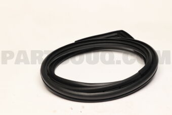 623120D220 WEATHERSTRIP, FR DOO