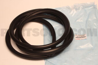 623120K170 WEATHERSTRIP, FR