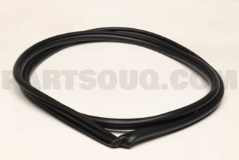 6233142080 WEATHERSTRIP, RR