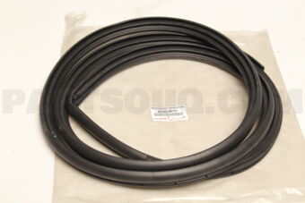 623320K121 WEATHERSTRIP  RR DOO