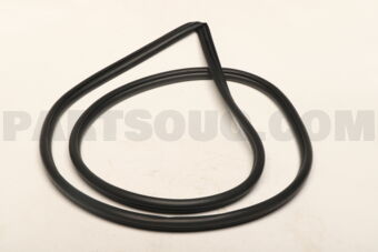 6233242080 WEATHERSTRIP, RR