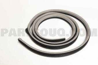 6233260071B1 WEATHERSTRIP, REAR DOOR OPENING 