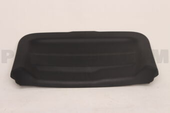 64780BZ160C0 PANEL ASSY, BACK DOO