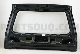 6700560D51 PANEL SUB-ASSY, BACK DOOR