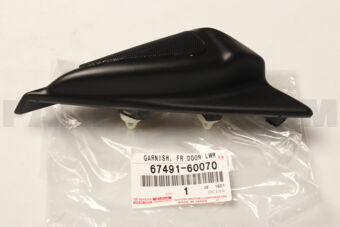 6749160070 GARNISH, FRONT DOOR LOWER FRAME BR