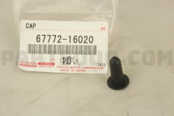 6777216020 CAP, FRONT DOOR TRIM RETAINER
