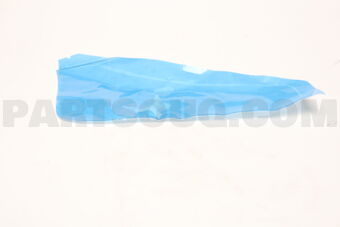 678570F020 PROTECTOR, REAR DOOR PANEL, RH