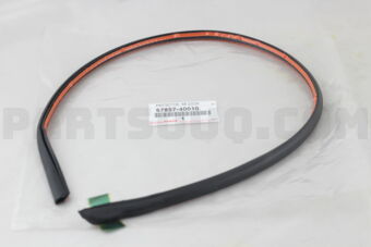6785740010 PROTECTOR, REAR DOOR PANEL, RH