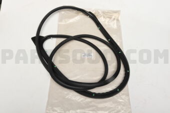 678610K120 WEATHERSTRIP  FR DOO