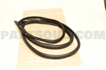 678610K121 WEATHERSTRIP  FR DOO