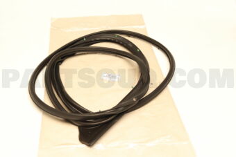 678610K121 WEATHERSTRIP  FR DOO